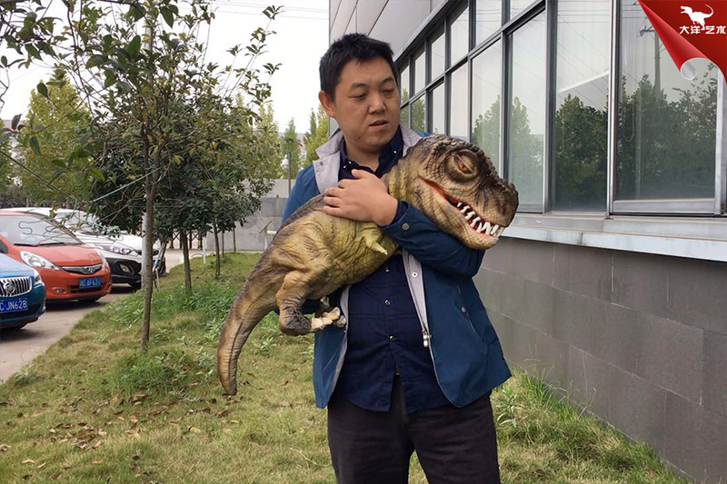 恐龍手偶，抱在手里的恐龍